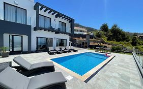 Brownie Villa With Private Heated Pool